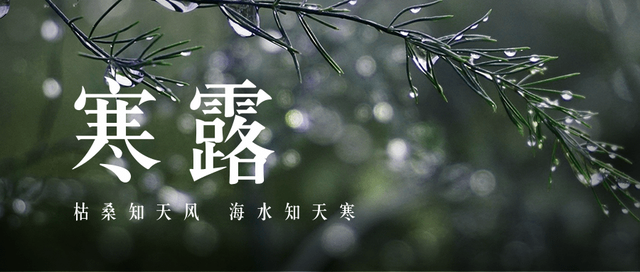 寒露|裊裊涼風動，凄凄寒露零